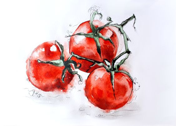 Tranh quả cà chua đặc biệt