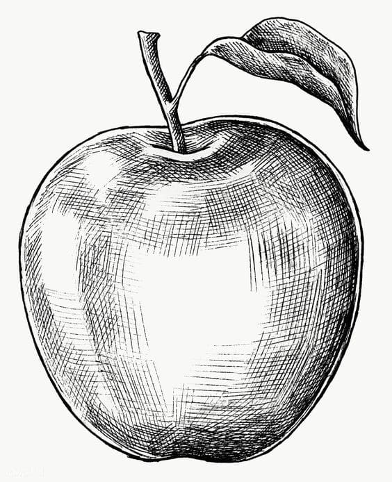 Tranh quả táo bằng bút chì đẹp nhất