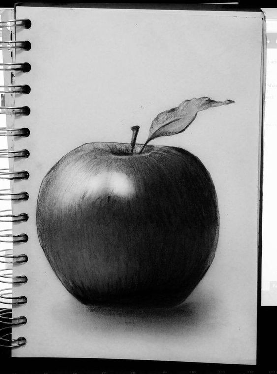 Tranh quả táo bằng bút chì đẹp