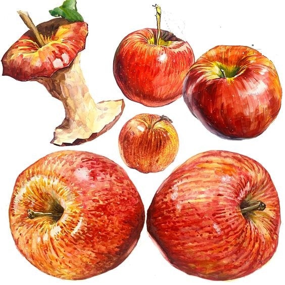 Tranh quả táo bằng màu sáp dầu đa dạng