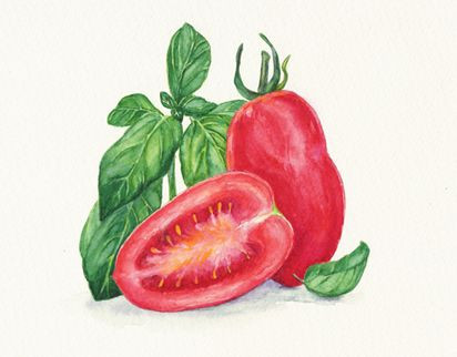 Tranh trái cà chua chi tiết