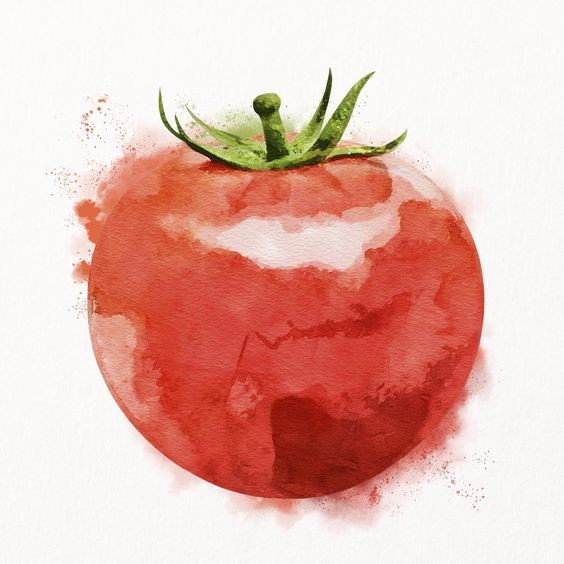 Tranh trái cà chua đẹp