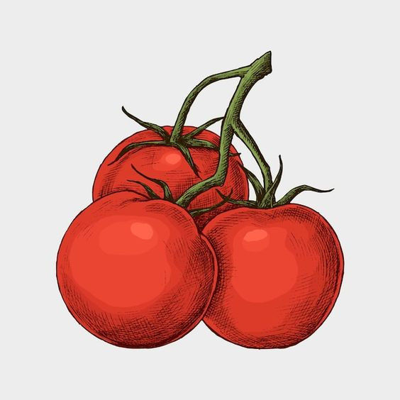 Tranh trái cà chua độc đáo