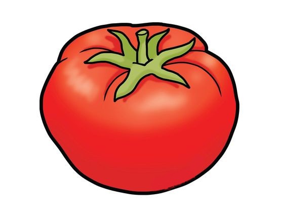 Tranh trái cà chua đơn giản nhất