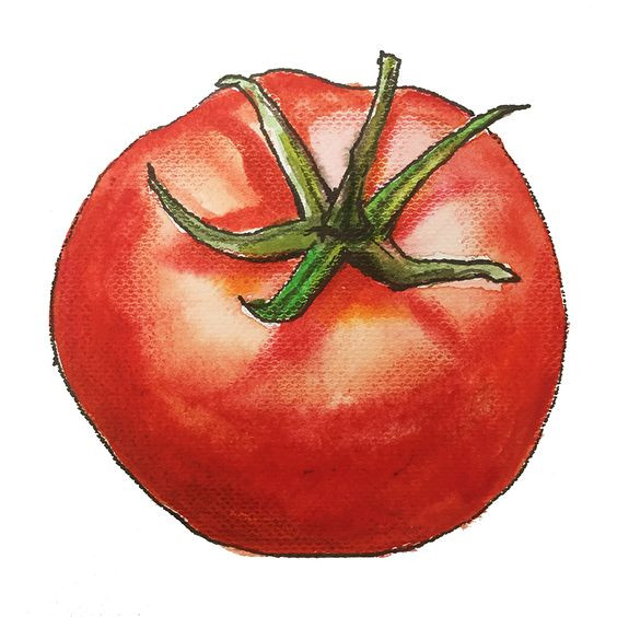 Tranh trái cà chua đơn giản