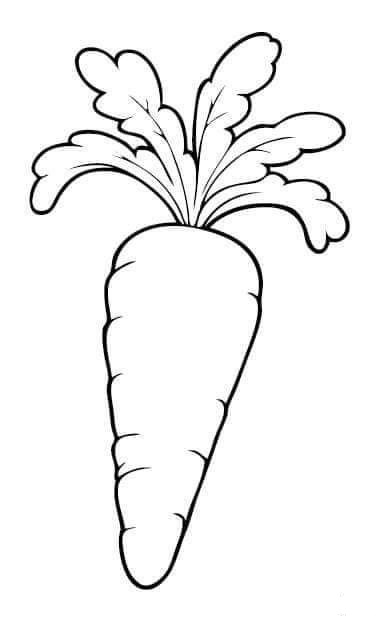Tranh về lá cà rốt đơn giản