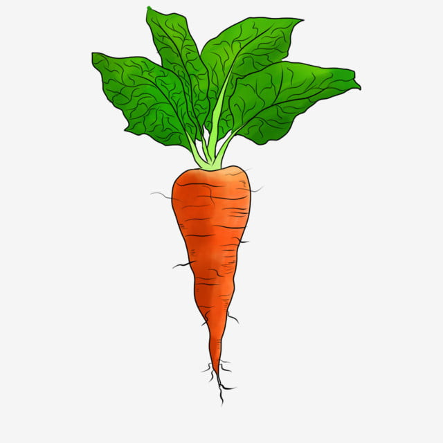 Tranh về lá cà rốt siêu đẹp