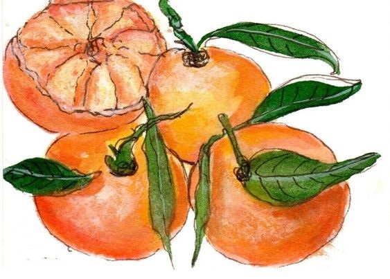 Tranh về quả cam siêu đẹp