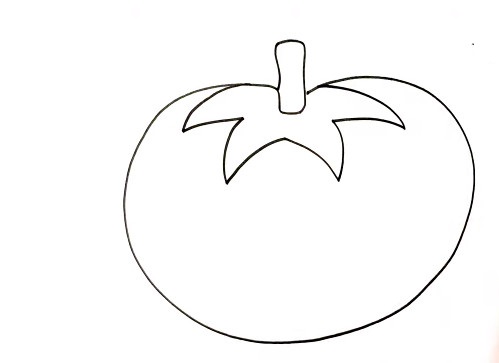 Vẽ lá của trái cà chua