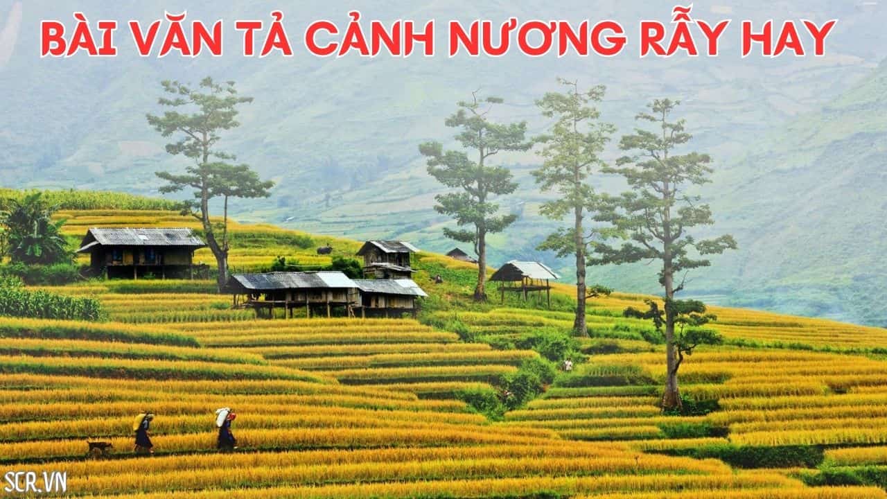 Bài văn tả cảnh nương rẫy hay