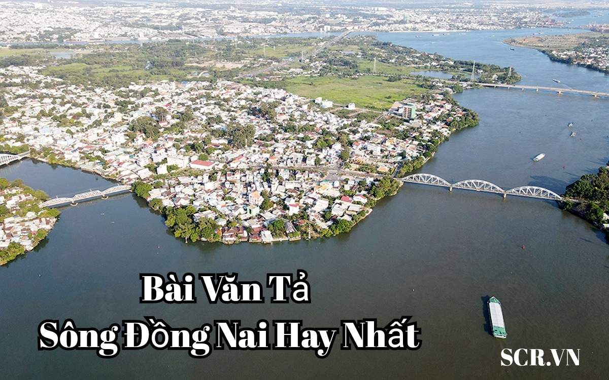 Tả Sông Đồng Nai