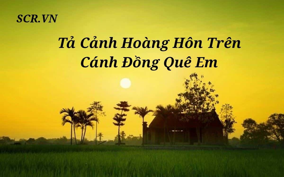 Tả cảnh hoang hôn trên canh đồng que em