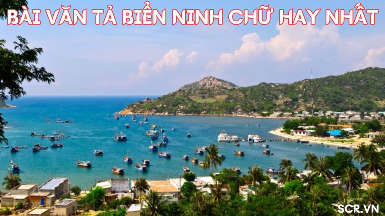 Văn tả cảnh biển Ninh Chữ hay nhất