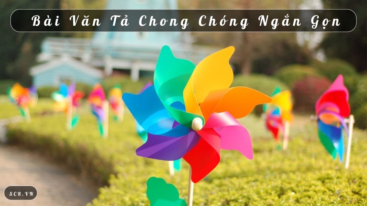 Tả Chong Chóng