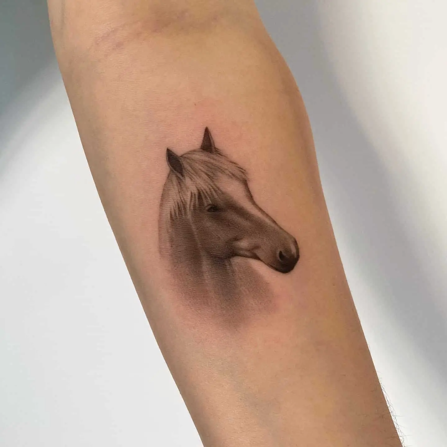 Tattoo Con Ngựa Đẹp