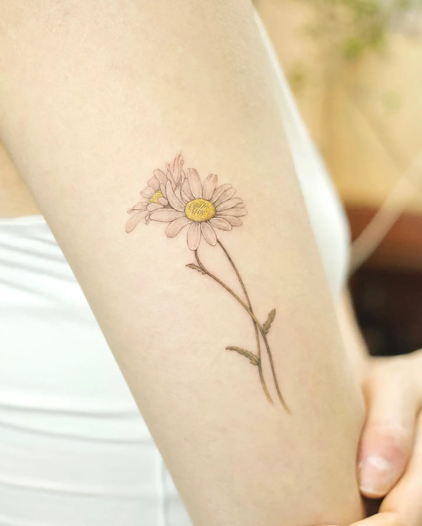Tattoo Hoa Cúc Hoạ Mi Cute