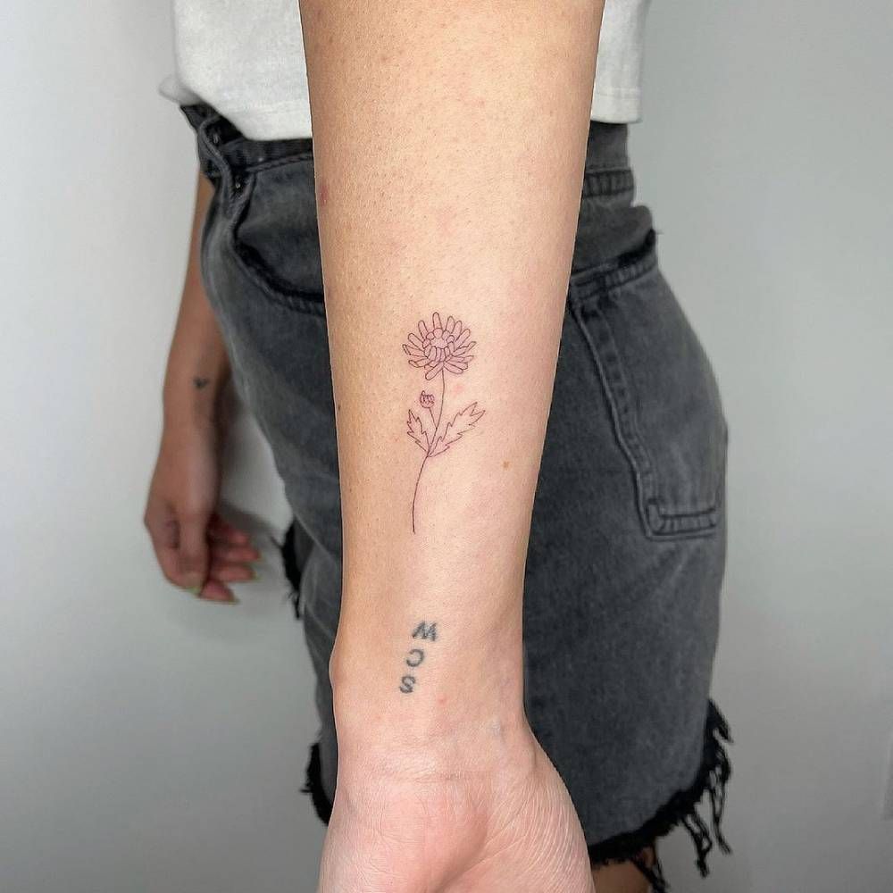 Tattoo Hoa Cúc Hoạ Mi