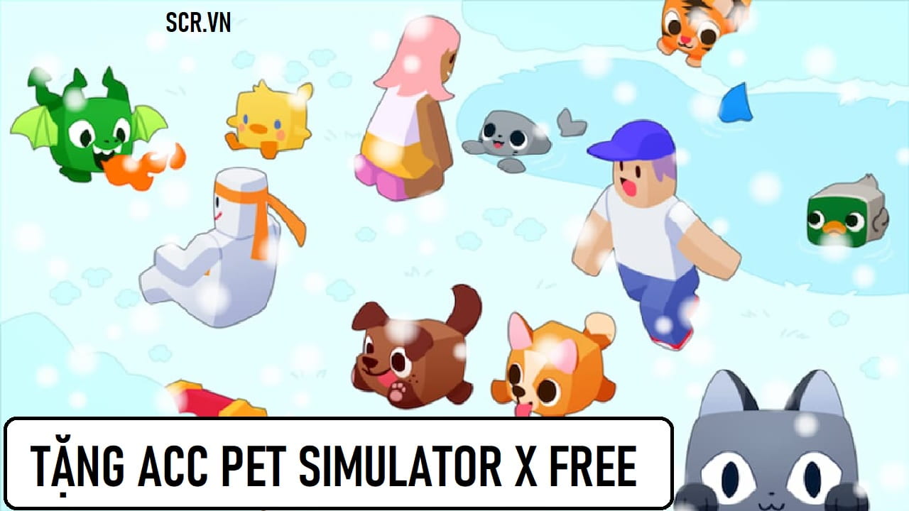 ACC Pet Simulator X