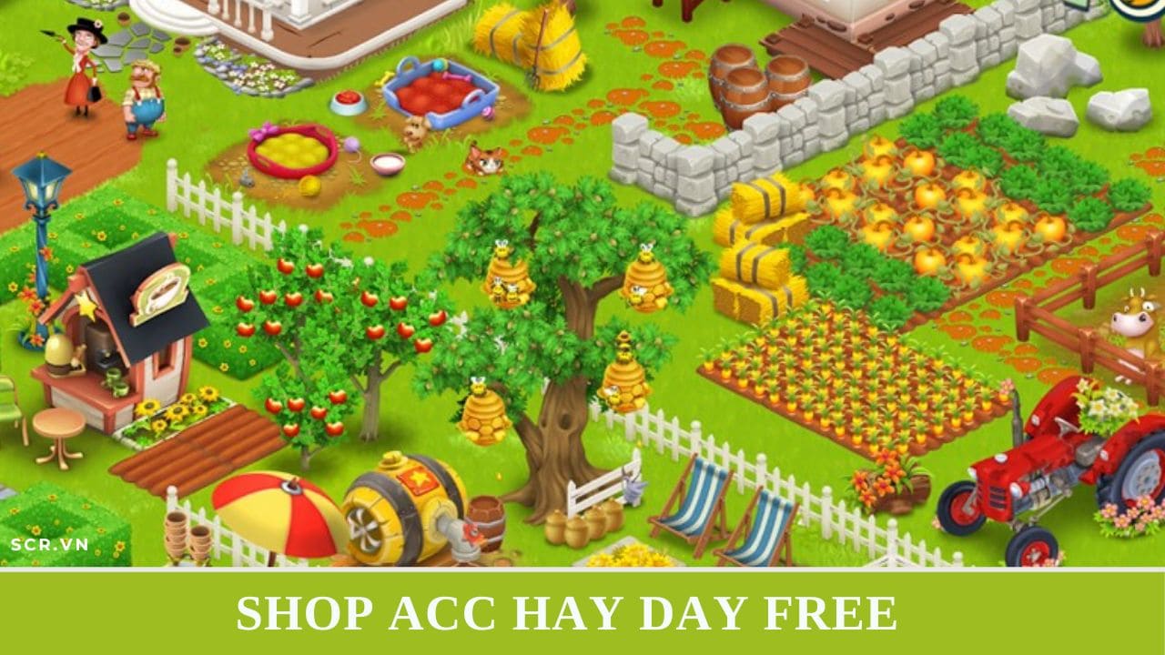 Shop ACC Hay Day