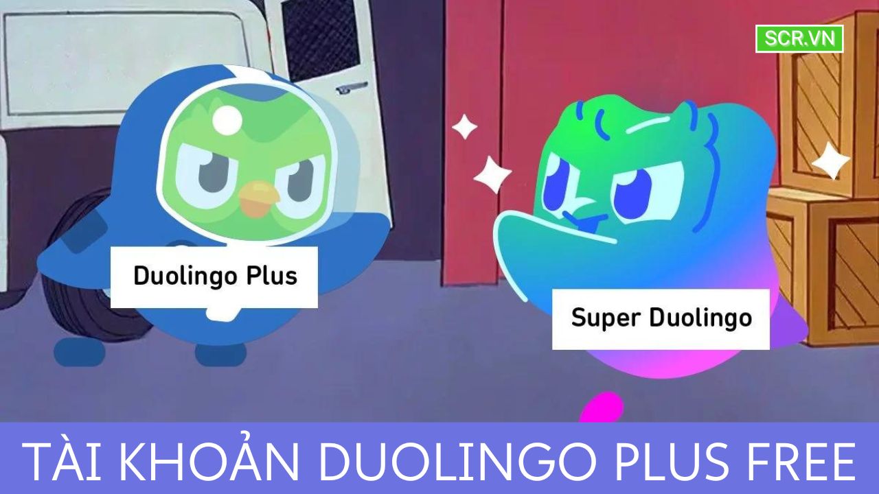 Tài Khoản Duolingo Plus