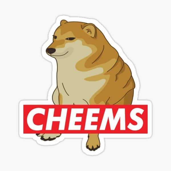 Những hình ảnh logo Blox Fruits Cheems mới đẹp nhất
