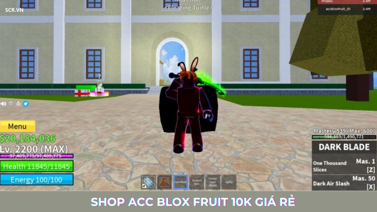 Shop ACC Blox Fruit 10K