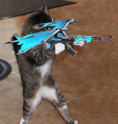 meme mèo ôm súng FF
