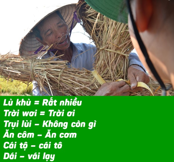 Các từ thông dụng