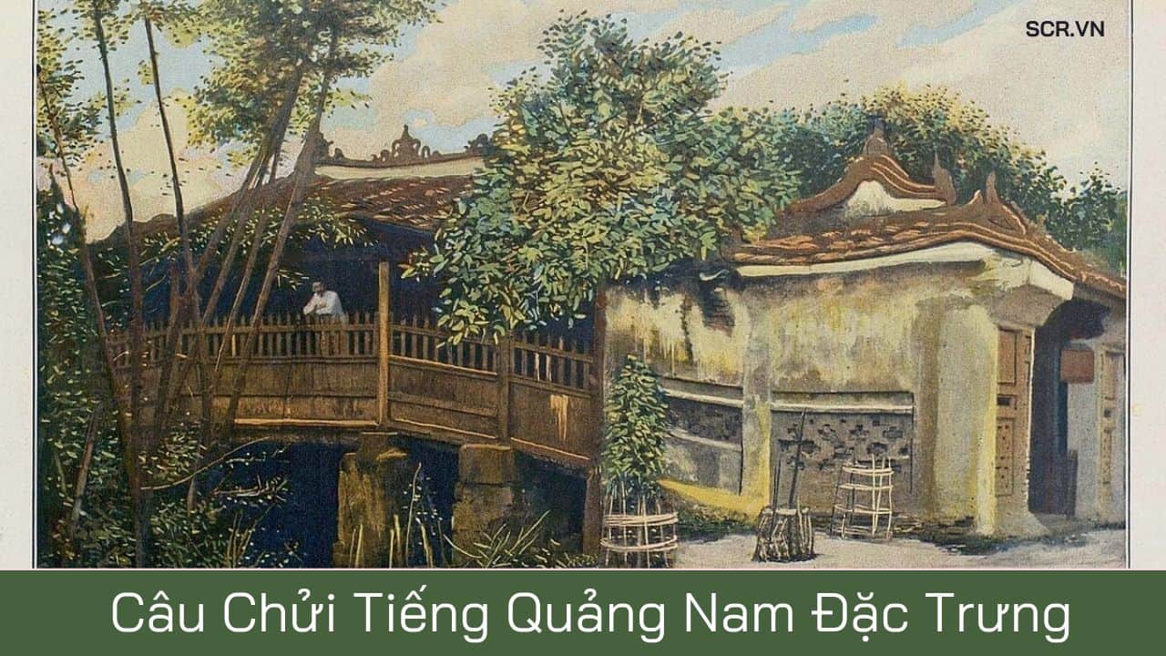 Câu Chửi Tiếng Quảng Nam