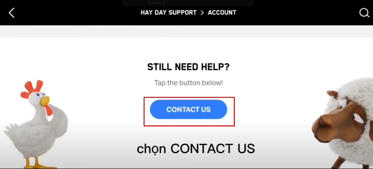 Chọn contact us