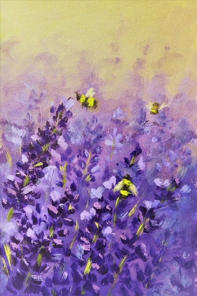 Hoa Lavender Bằng Màu Nước Đẹp