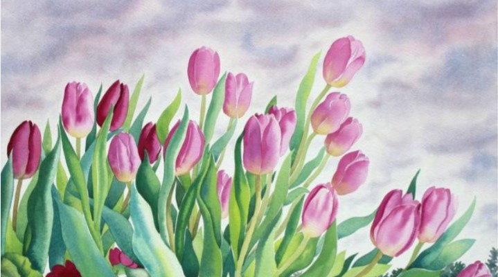 Mẫu Vẽ Bông Tulip Lên Tường