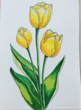 Mẫu Vẽ Về Tulip Vàng