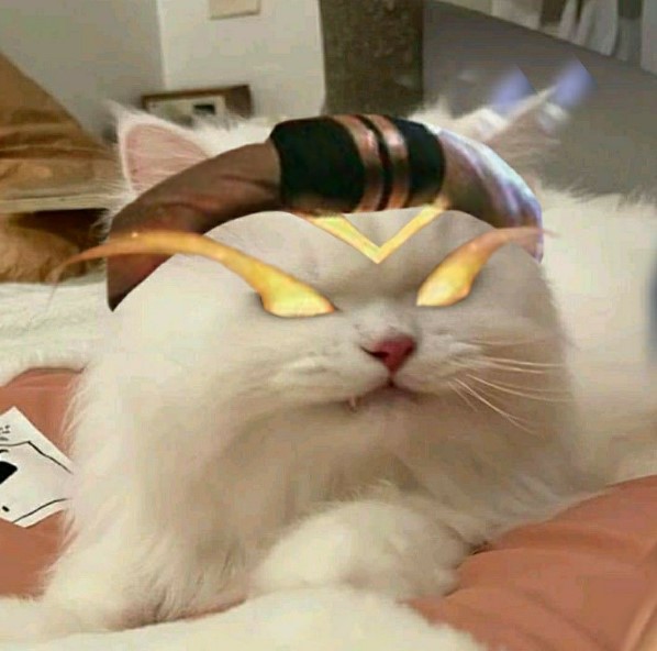 Meme Mèo Liên Quân Hài