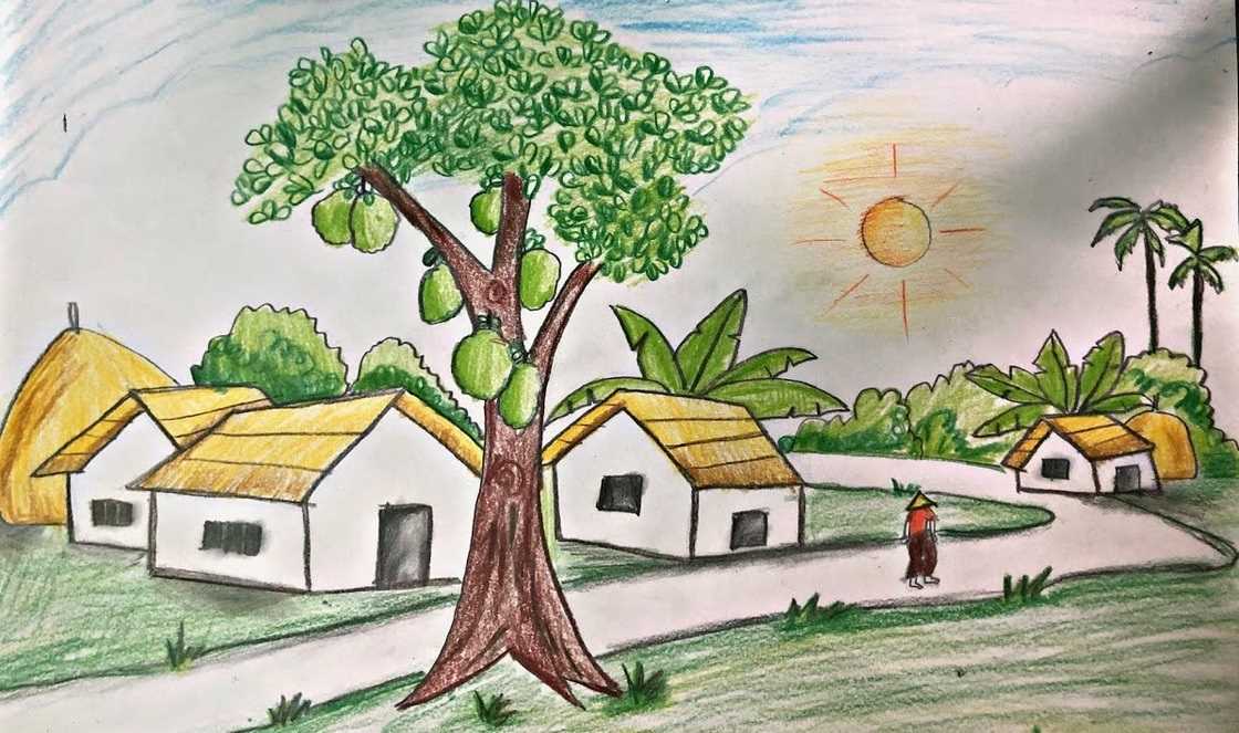 Những hình tranh phong cảnh làng quê bằng bút chì màu ấn tượng