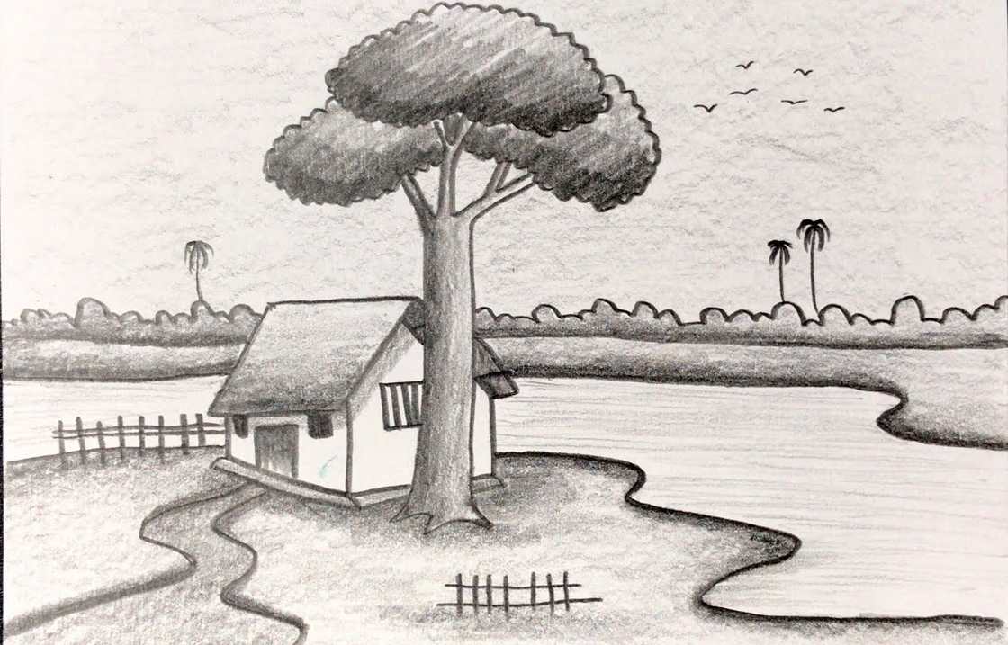 Share tranh phong cảnh làng quê đơn giản bằng bút chì