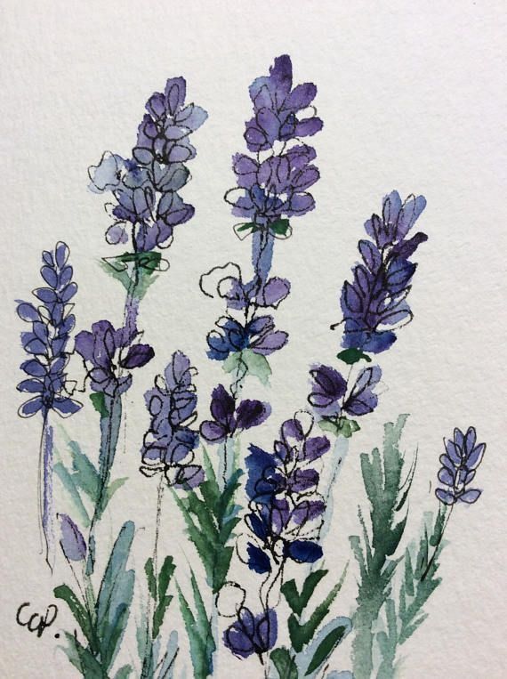 Tranh Vẽ Hoa Lavender Nổi Bật Đẹp