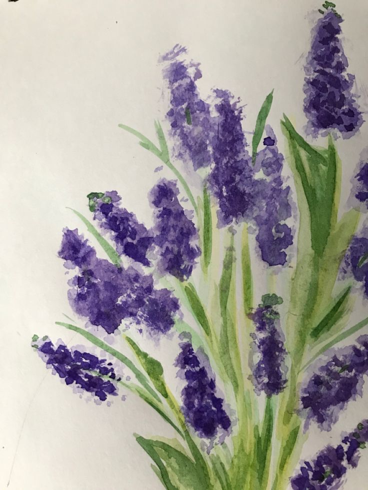 Tranh Vẽ Về Hoa Lavender Đẹp Mới Lạ