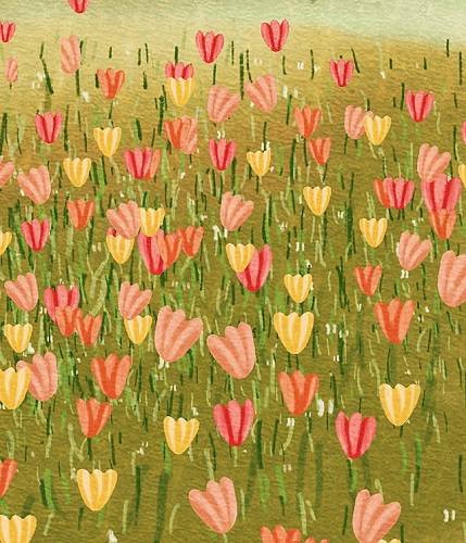 Tranh Vẽ Về Vườn Bông Tulip Cute