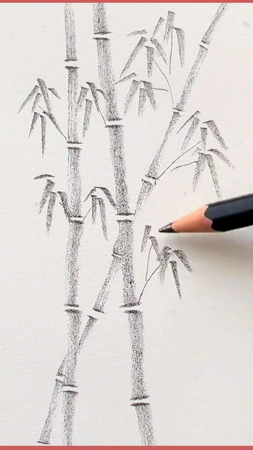 Tranh cây tre bằng bút chì đơn giản nhất