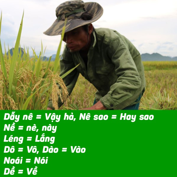 Từ Vựng Quảng Ngãi