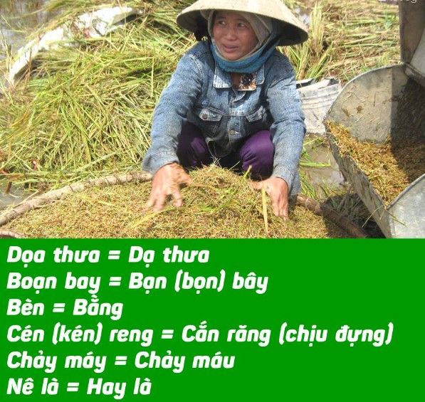 Từ Vựng Tiếng Quảng Ngãi