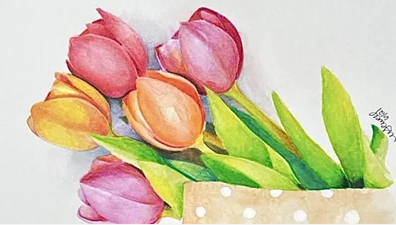 Vẽ Bó Tulip Siêu Đẹp Ấn Tượng