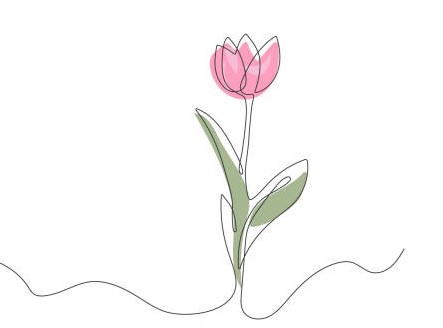 Vẽ Bông Tulip 1 Nét Mới Lạ Nhất