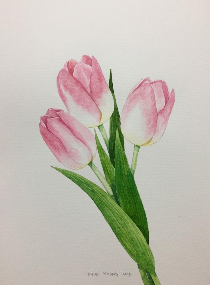 Vẽ Bông Tulip Dễ