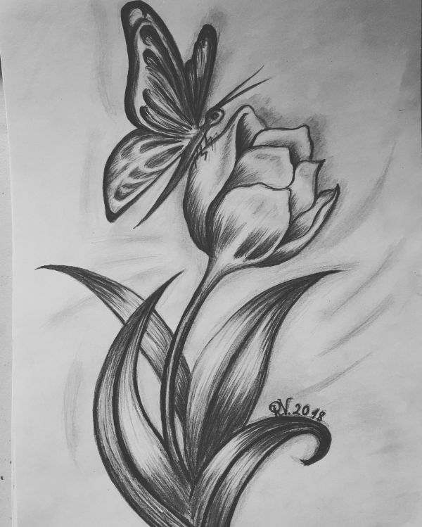 Vẽ Bông Tulip Nở