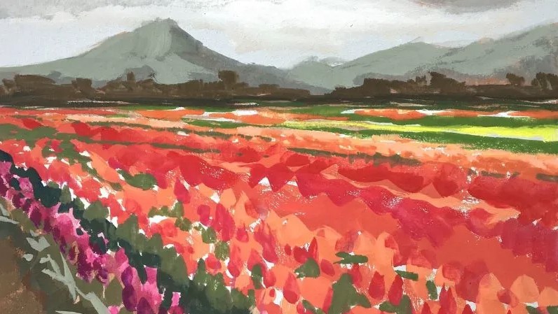 Vẽ Cánh Đồng Bông Tulip Thu Hút