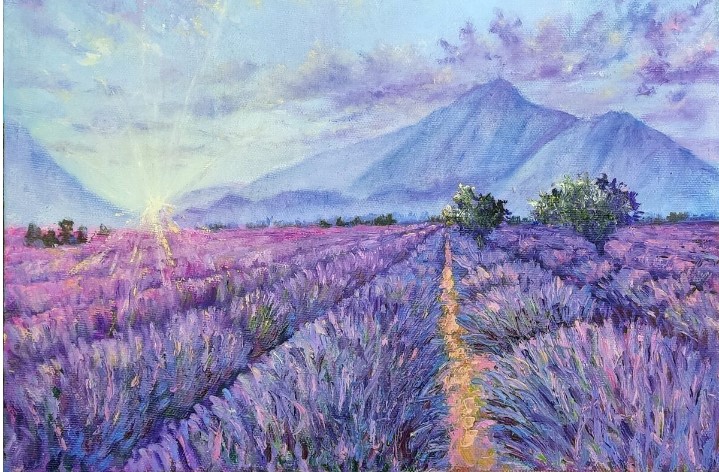 Vẽ Cánh Đồng Hoa Lavender Đẹp Nhất