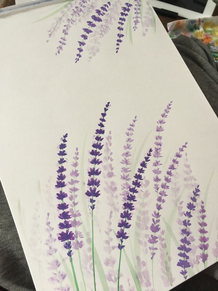 Vẽ Hoa Lavender Đơn Giản Đẹp