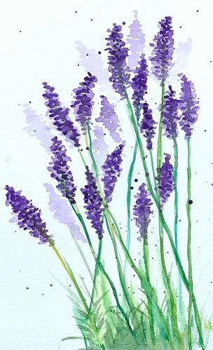 Vẽ Hoa Lavender Đơn Giản